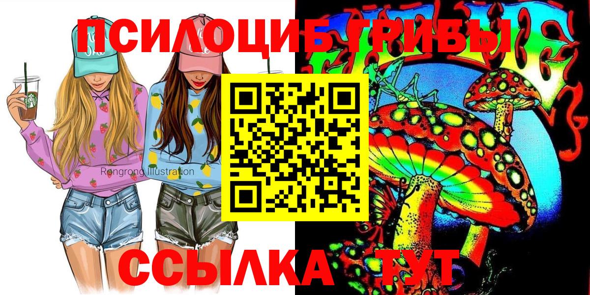 Скопин  Псилоцибиновые грибы мухоморы  где можно купить наркотик  Вход с VPN 